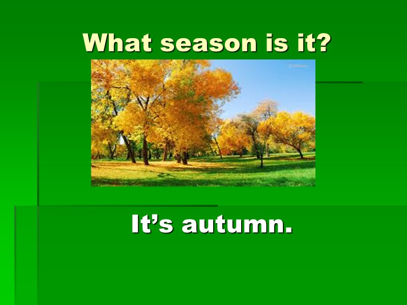 What season is it? It’s autumn.